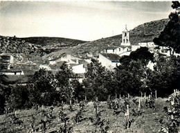 Vingrau * Le Clocher De L'ancienne église Du Village - Autres & Non Classés