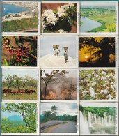 Banco De Angola , Before 1974 , 12 Full Matchboxes , Landscapes , In Original Acrylic Box - Boites D'allumettes