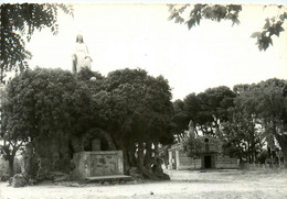 Le Grau D'agde * Notre Dame Du Grau * La Chapelle De L'agenouillade - Agde