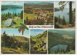 Schwarzwald, Baden-Württemberg - Autres & Non Classés