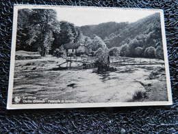 Le Hérou, Ourthe Orientale - Passerelle De Spitanche, Hôtel Les 5 Ourthes  (X13) - Houffalize