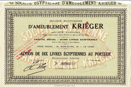 - Titre De 1923 - Société Egyptienne D'Entreprises D'Ameublement Kriéger - - Afrique