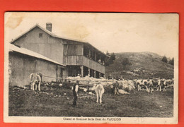 ZRX-33  Chalet Du Sommet De La Dent De Vaulion Val De Joux Troupeau De Vaches. Circ. 1930 Seal 50429 - Vaulion