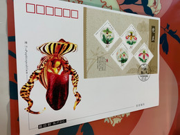 China Stamp 2001 Orchids FDC Cover S/S - Briefe U. Dokumente