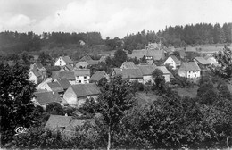 CPSM La Petite Pierre-Vue Générale       L1831 - La Petite Pierre