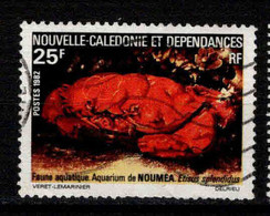 Nouvelle Calédonie  - 1982 -  Faune  - N° 454  - Oblit - Used - Oblitérés