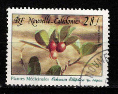 Nouvelle Calédonie  - 1988 - Plante Médicinale  - N° 556 - Oblit - Used - Used Stamps