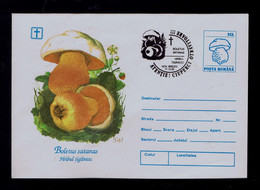 Gc7097 ROMANIA "danger Mushrooms -Satanas" Setas Champignons Plants Food Alimentation Used Cover Postal Stationery 1993 - Plantas Tóxicas