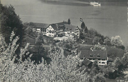 Europe Switzerland Zurich USTER Vierwaldstattersee Vitznau Ferienheim S.M.U.V. Postcard - Uster