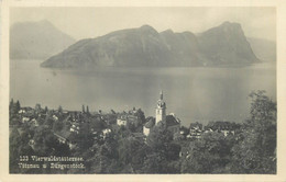 Europe Switzerland Zurich USTER Vierwaldstattersee Vitznau Lake Scene Burgenstock Stanserhorn Postcard - Uster