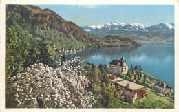 Europe Switzerland Zurich USTER Vierwaldstattersee Vitznau Postcard - Uster