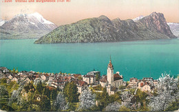 Europe Switzerland Zurich USTER Vierwaldstattersee Vitznau Und Burgenstock Postcard - Uster