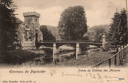 Pepinster - Entrée Du  Château Des Mazures - Kasteel - Pepinster