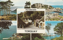 TORQUAY - MULTI VIEW - Torquay