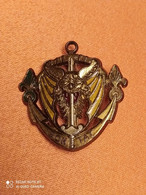 INSIGNE TRANSPORT DE TROUPES SON TAY, LEGION ETRANGERE, DRAGO REFRAPPE R 76 - Army