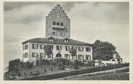 Switzerland Zurich USTER Castle Frei&Co. St. Gallen Postcard - Uster