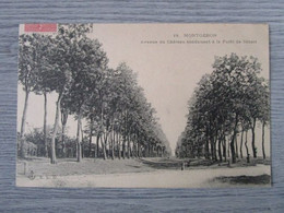 Cpa Montgeron(91)avenue Du Château - Montgeron