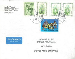 HUNGARY - 2012 - STAMPS  COVER  FROM  BUDAPEST TO DUBAI. - Lettere