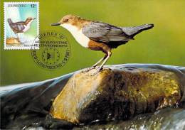 LUXEMBOURG  CARTE  MAXIMUM  NUM-YVERT  1120 PROTECTION DE LA NATURE  FAUNE OISEAU - Maximum Cards