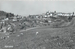 Switzerland Zurich REGENSBERG Hugo Kopp Postcard - Regensberg