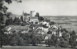 Switzerland Zurich REGENSBERG Hugo Kopp Hill Top City View Postcard - Regensberg