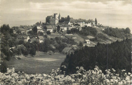 Switzerland Zurich REGENSBERG J. Schmidlipostcard - Regensberg