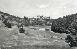 Switzerland Zurich REGENSBERG Hugo Kopp 1958 Postcard - Regensberg