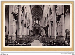 * 8.07 DIEST - Binnenzicht St. Sulpitius Hoofdkerk * - Diest