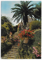 CPSM - ESCALIER FLEURI AU RAYOL - Rayol-Canadel-sur-Mer