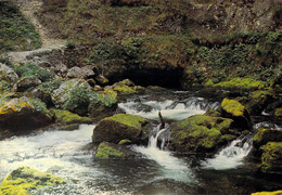 Vallorbe - La Source De L'Orbe - Orbe