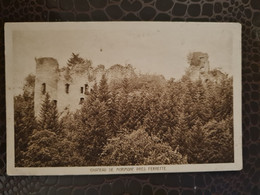 Delcampe - Carte FERRETTE   Chateau De MORMONT - Ottmarsheim