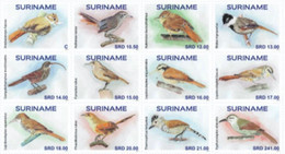 REP. SURINAME 2022 BIRDS OISEAUX VOGELS MNH ** - Unclassified