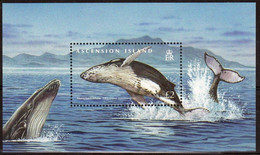 Ascension 2009 - Faune Marine, Baleines - BF Neufs // Mnh - Ascension (Ile De L')