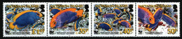 Ascension 2007 - Animaux En Danger, W.W.F., Poisson Ange - Bande De 4 Val Neufs // Mnh - Ascension (Ile De L')