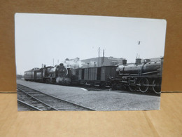 BRAY DUNES (59) Carte Photo Intérieur De La Gare Locomotives Gros Plans 1956 - Bray-Dunes