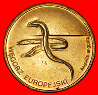 * EEL RARE: POLAND ★ 2 ZLOTY 2003 NORDIC GOLD UNC MINT LUSTRE!  LOW START ★ NO RESERVE! - Polen