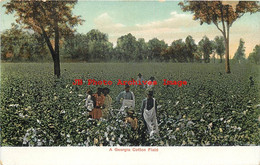 313525-Black Americana, ANC No 93102, Workers Picking Cotton In Georgia - Black Americana