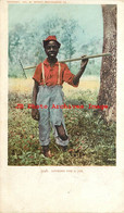 313589-Black Americana, Detroit Photographic No 5746, UDB, Looking For A Job - Negro Americana