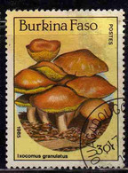 BURKINA FASO 1985 MUSHROOMS FUNGI CHAMPIGNONS FUNGHI IXOCOMUS GRANULATUS 30fr USATO USED OBLITERE' - Burkina Faso (1984-...)