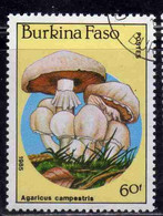 BURKINA FASO 1985 MUSHROOMS FUNGI CHAMPIGNONS FUNGHI AGARICUS CAMPESTRIS 60fr USATO USED OBLITERE' - Burkina Faso (1984-...)