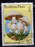 BURKINA FASO 1985 MUSHROOMS FUNGI CHAMPIGNONS FUNGHI AGARICUS CAMPESTRIS 60fr USATO USED OBLITERE' - Burkina Faso (1984-...)