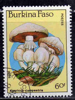 BURKINA FASO 1985 MUSHROOMS FUNGI CHAMPIGNONS FUNGHI AGARICUS CAMPESTRIS 60fr USATO USED OBLITERE' - Burkina Faso (1984-...)