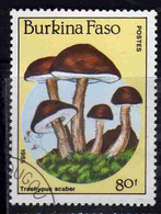 BURKINA FASO 1985 MUSHROOMS FUNGI CHAMPIGNONS FUNGHI TRACHYPUS SCABER 80fr USATO USED OBLITERE' - Burkina Faso (1984-...)