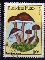 BURKINA FASO 1985 MUSHROOMS FUNGI CHAMPIGNONS FUNGHI TRACHYPUS SCABER 80fr USATO USED OBLITERE' - Burkina Faso (1984-...)