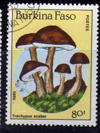 BURKINA FASO 1985 MUSHROOMS FUNGI CHAMPIGNONS FUNGHI TRACHYPUS SCABER 80fr USATO USED OBLITERE' - Burkina Faso (1984-...)