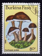 BURKINA FASO 1985 MUSHROOMS FUNGI CHAMPIGNONS FUNGHI TRACHYPUS SCABER 80fr USATO USED OBLITERE' - Burkina Faso (1984-...)