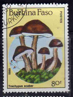 BURKINA FASO 1985 MUSHROOMS FUNGI CHAMPIGNONS FUNGHI TRACHYPUS SCABER 80fr USATO USED OBLITERE' - Burkina Faso (1984-...)