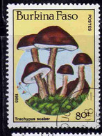 BURKINA FASO 1985 MUSHROOMS FUNGI CHAMPIGNONS FUNGHI TRACHYPUS SCABER 80fr USATO USED OBLITERE' - Burkina Faso (1984-...)