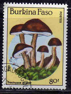 BURKINA FASO 1985 MUSHROOMS FUNGI CHAMPIGNONS FUNGHI TRACHYPUS SCABER 80fr USATO USED OBLITERE' - Burkina Faso (1984-...)