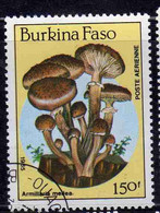 BURKINA FASO 1985 MUSHROOMS FUNGI CHAMPIGNONS FUNGHI ARMILLARIA MELLEA 150fr USATO USED OBLITERE' - Burkina Faso (1984-...)